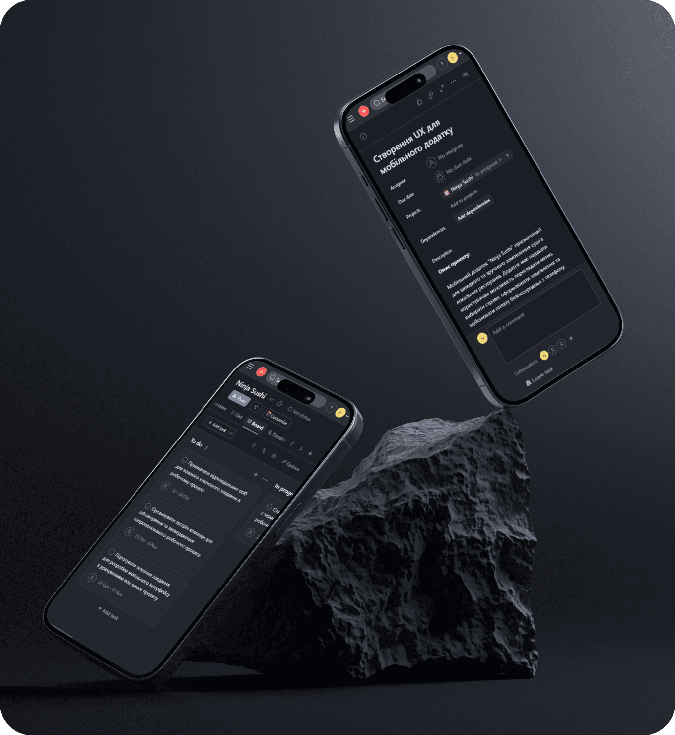 Project objectives